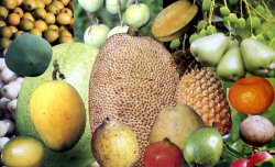 bangla fruits