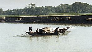 padma -less fish, bangladesh