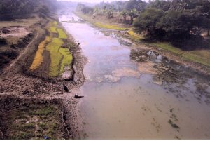 Kumar River, Faridpur