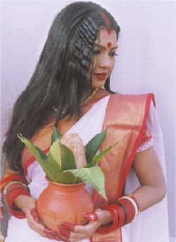 festival with beautiful sari